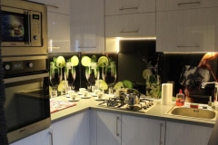 Apartament z kuchnia w apartamencie Racibórz
